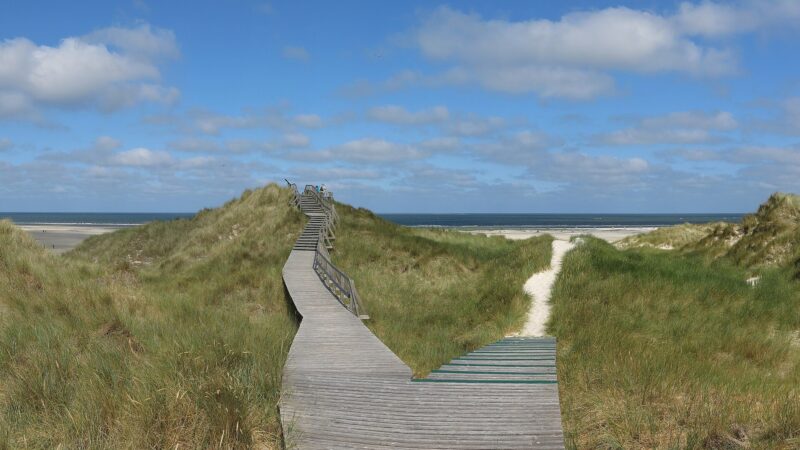 Amrum mit Hund: über den Kniepsand durch Dünen und Wattenmeer
