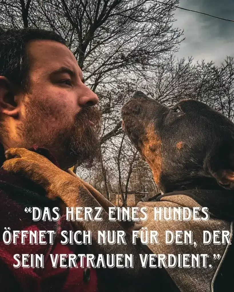 Kommunikation unter Hunden und das kollektive Versagen unserer Gesellschaft
