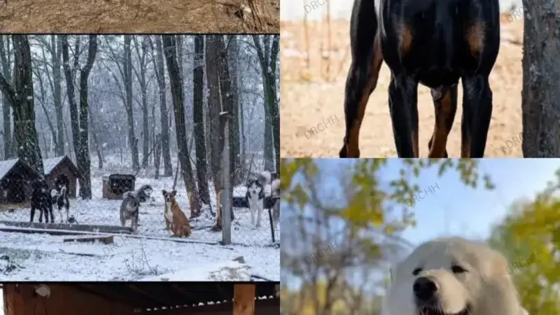 Tierschutz oder Täuschung