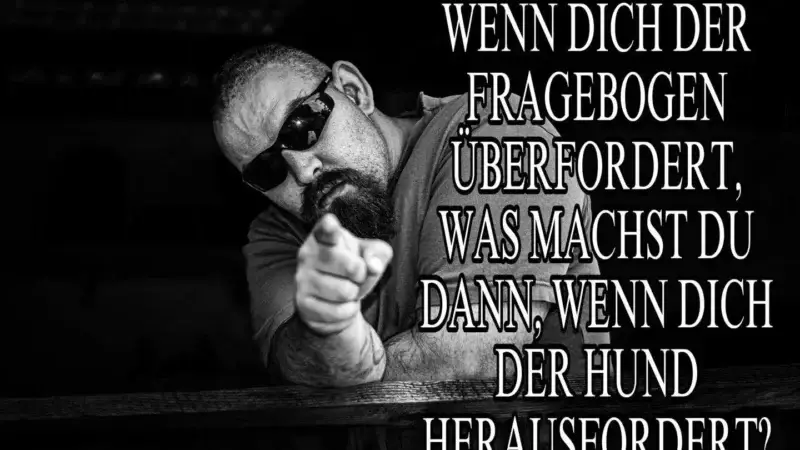 Dann hol ich halt einen aus dem Ausland