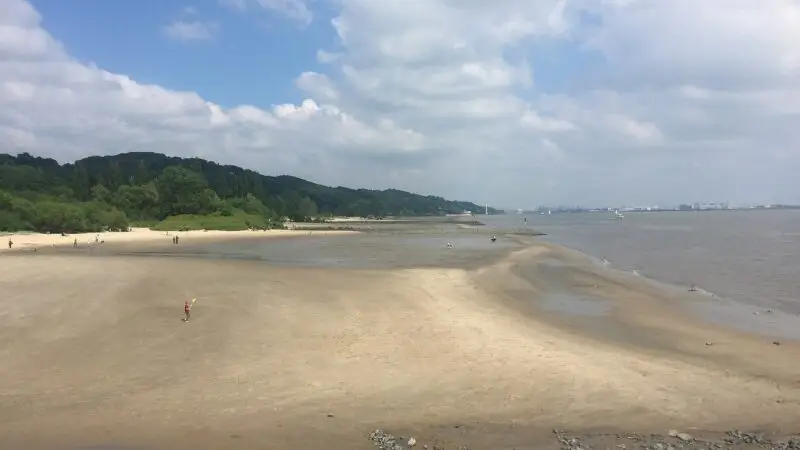 Elbstrand Wittenbergen: Strandweg im Hamburger Westen