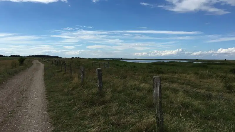 Fehmarn mit Hund: Hundestrand am Grünen Brink und Wallnau an der Ostsee
