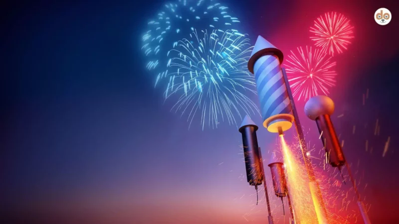 Wenn der Himmel leuchtet und die Tiere leiden – Feuerwerk kritisch betrachtet