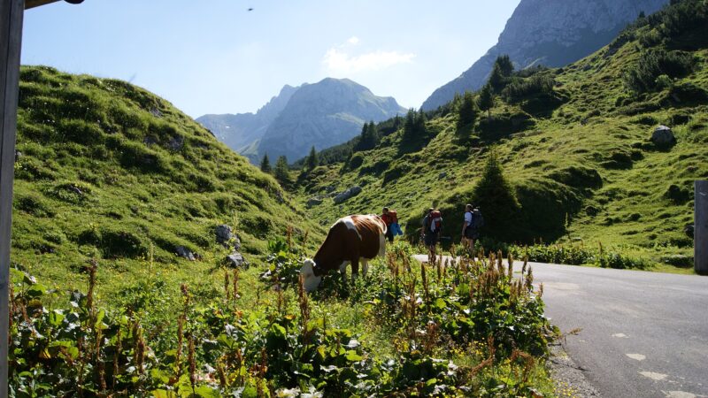 Formarinsee bei Lech: zum schönsten Platz Österreichs mit Hund