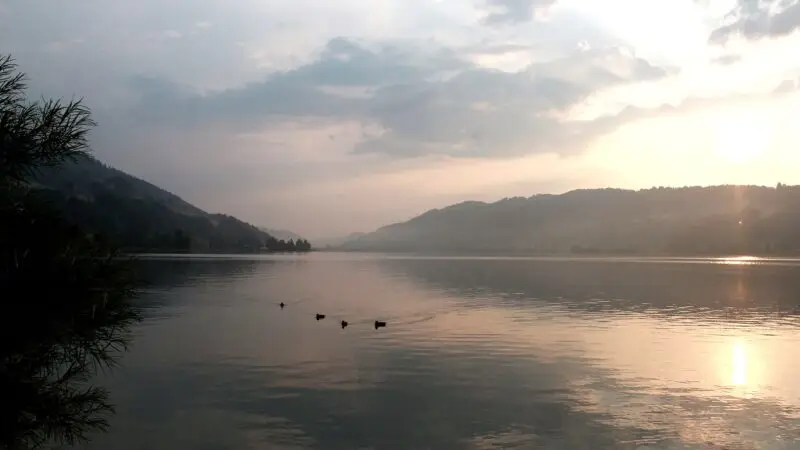 Großer Alpsee bei Immenstadt: Uferrunde mit Hund - grosser alpsee immenstadt