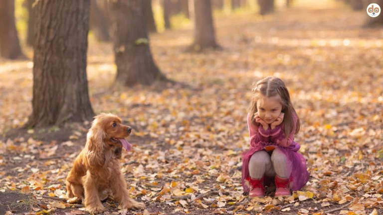 Hund und Kind draussen auf Spazierweg in Herbstlaub