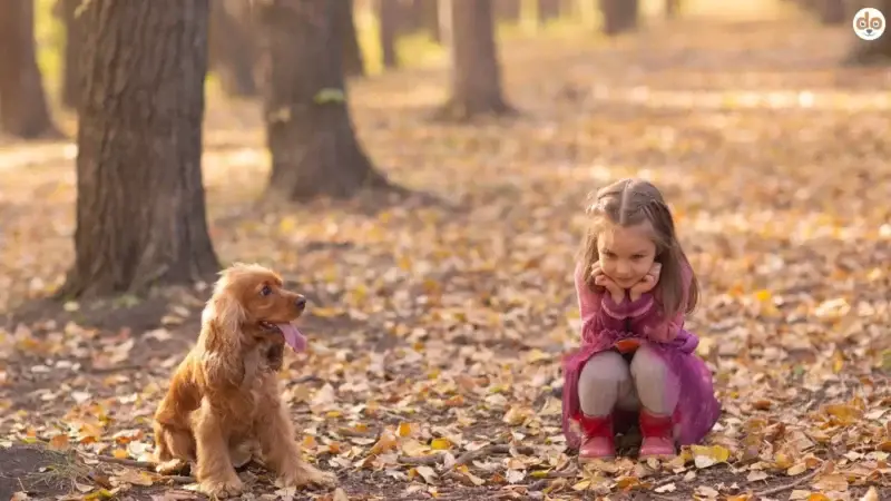 Studie zeigt: Hund und Kind – mehr als nur Spielkameraden