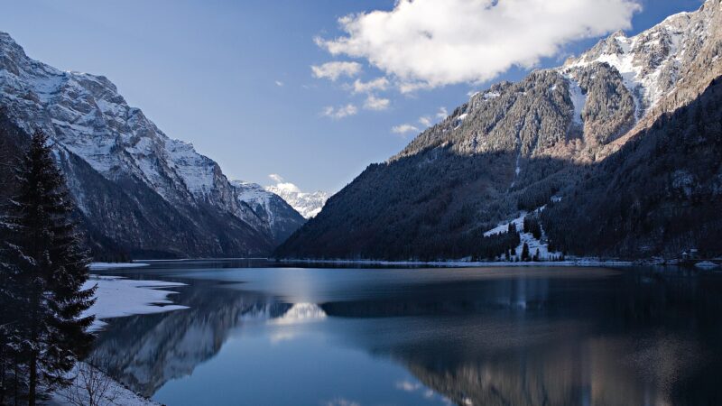 Klöntalersee-Uferweg mit Hund: Bergsee-Wanderung im Kanton Glarus