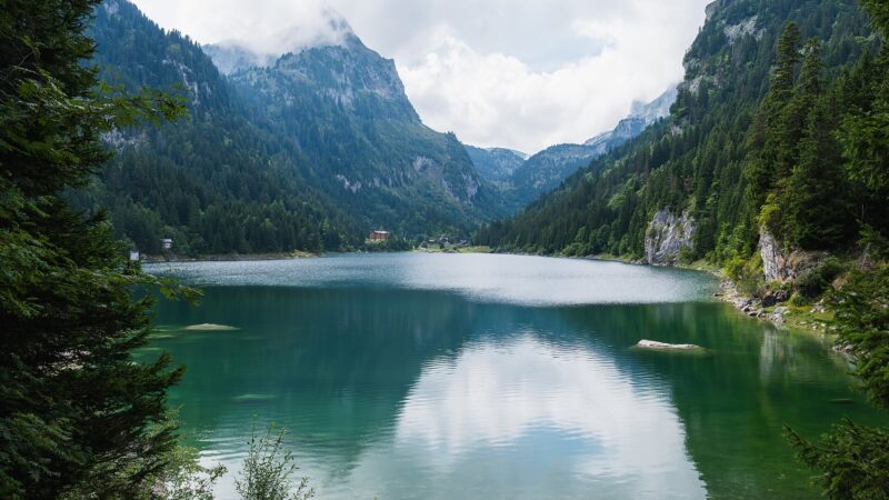 Lac de Taney bei Vouvry: Bergsee-Wanderung mit Hund im Wallis