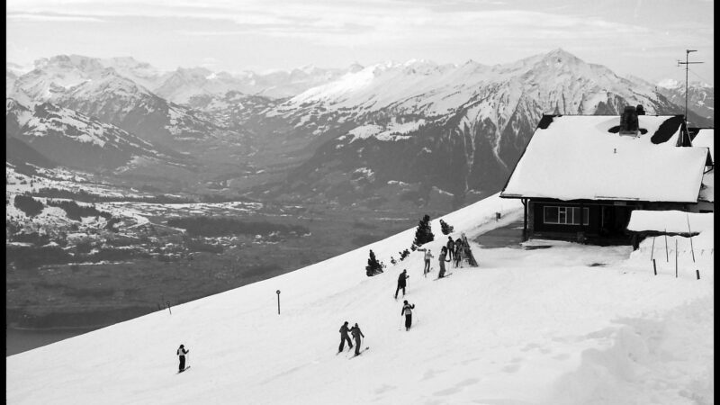 Niederhorn ob Beatenberg: Panorama-Höhenweg mit Hund über dem Thunersee