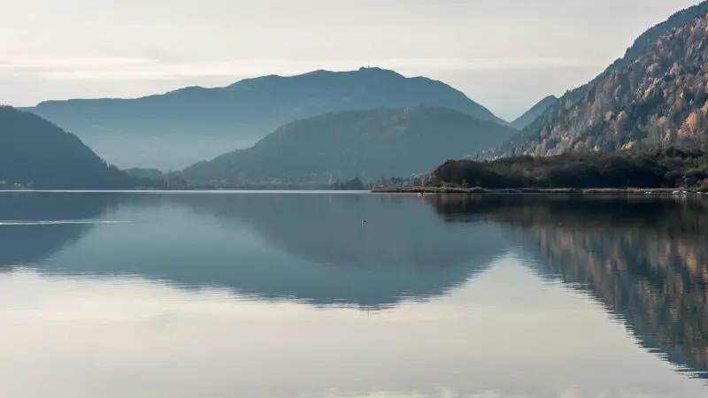 Mit Hund am Ossiacher See: Uferwanderung von Ossiach nach Bodensdorf