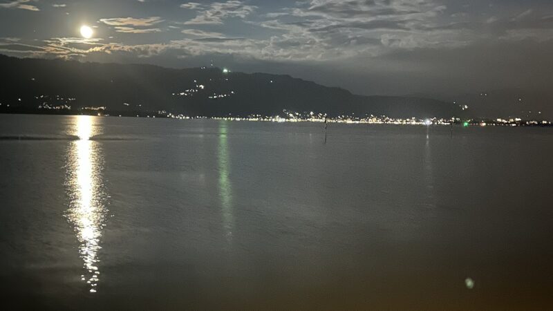 Pfänder bei Bregenz: Panoramaberg über dem Bodensee mit Hund