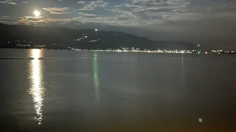 Pfänder bei Bregenz: Panoramaberg über dem Bodensee mit Hund