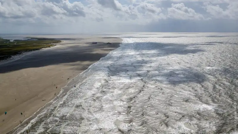 Strandwanderung St. Peter-Ording: Weite, Watt und ein echter Hundestrand