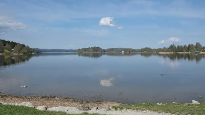 Rund um den Staffelsee bei Murnau: Voralpensee mit Hundebademöglichkeit - staffelsee murnau