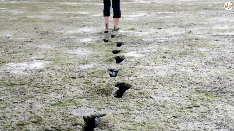 Wattwanderung Frauenbeine Fussabdrücke im Watt