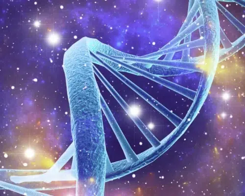 Epigenetik, Genetik, DNA