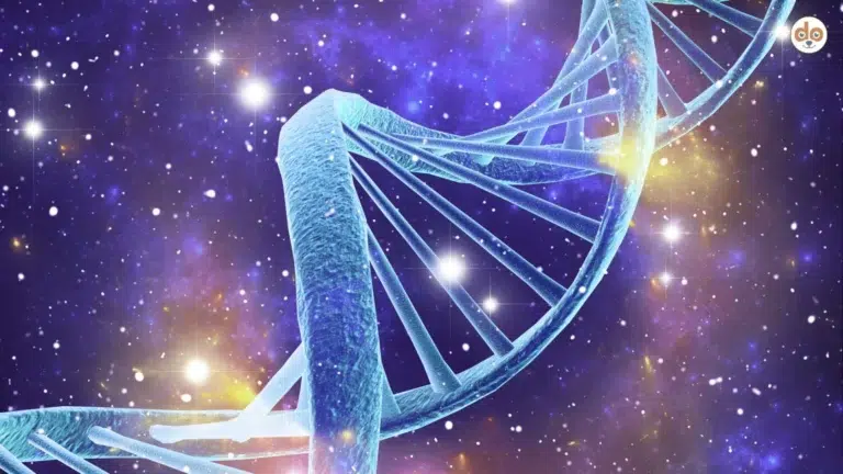 Epigenetik, Genetik, DNA