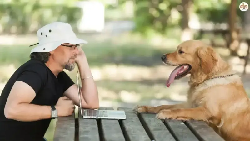 Wenn Trainer Vertrauen schaffen sollen – und Hundehalter umsetzen müssen