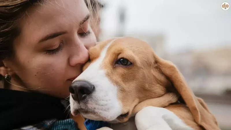 Aus der Wissenschaft: Menschen empfinden ihre Hunde wie Kinder oder beste Freund