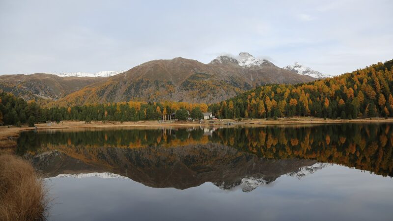 Lej da Staz: Waldsee-Idylle im Engadin