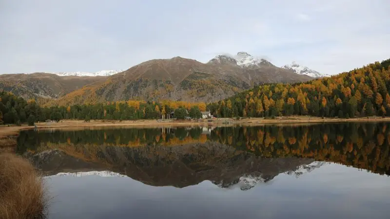 Lej da Staz: Waldsee-Idylle im Engadin - lej da staz engadin