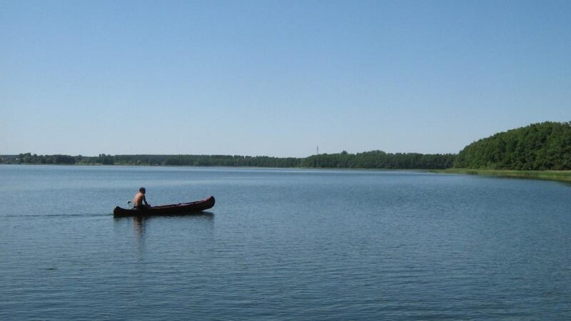 Müritz-Nationalpark - mueritz nationalpark 20396