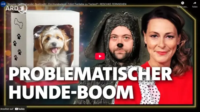 Illegaler Welpenhandel & Qualzucht – wenn Tierliebe zu Tierleid wird