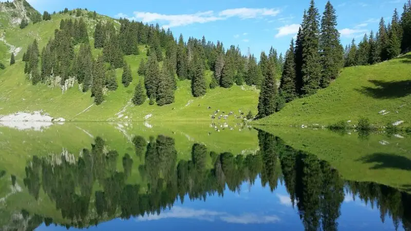 Stockhorn: Seenrunde am Oberstockensee mit Hund - stockhorn oberstockensee