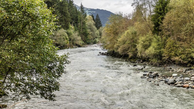 Rheinschlucht Ruinaulta - 20421
