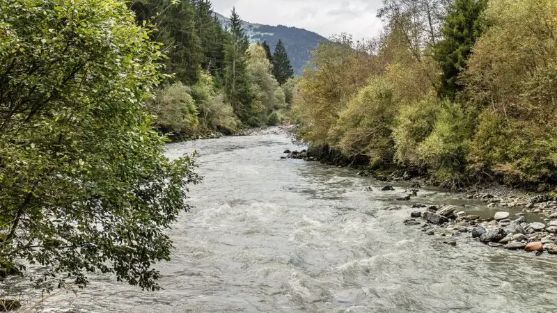 Rheinschlucht Ruinaulta - 20421