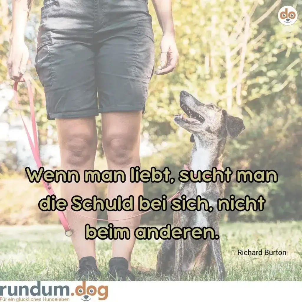 Hundehalter mit Leine und kleinem Hund auf Wiese, Hund schaut aufmerksam nach oben