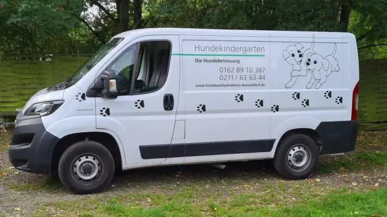 Hundekindergarten Düsseldorf - fahrzeug hundekindergarten duesseldorf