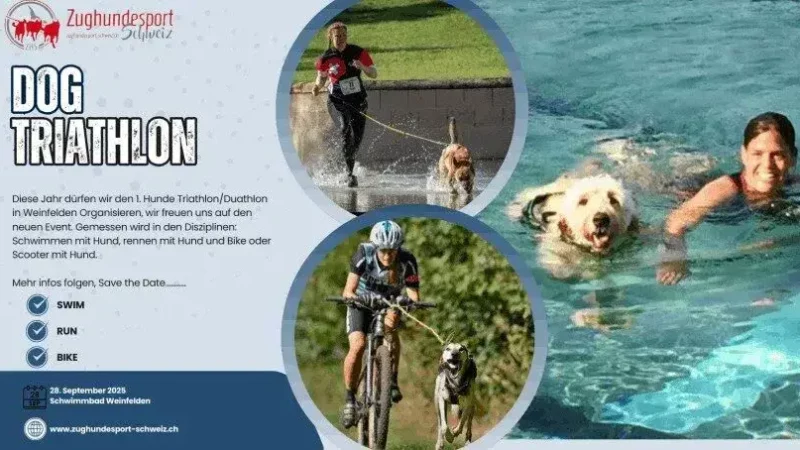 1. Hundetriathlon Weinfelden - flyer20troathlon202025 816x460 1