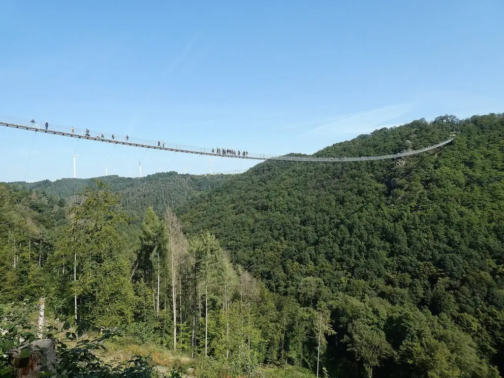 Geierlay-Hängeseilbrücke bei Mörsdorf: mit Hund über den Hunsrück-Abgrund