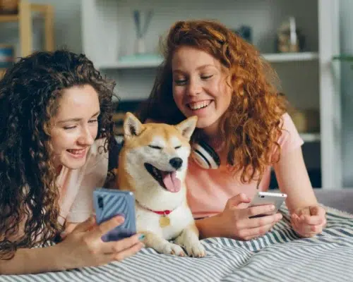 Hund Social Media Handy