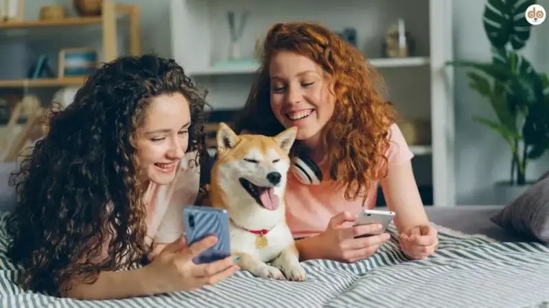 Soziale Medien und Hunde: Chancen, Risiken, Verantwortung