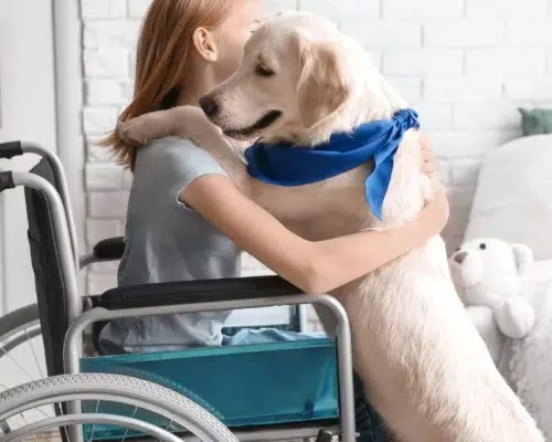 Besuchsdienst mit Hund