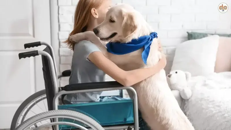 Besuchsdienst mit Hund – Nähe und Freude auf vier Pfoten