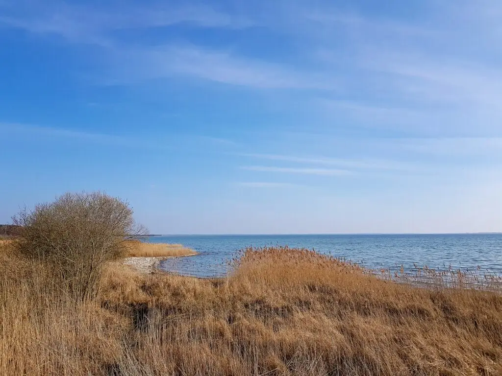 Müritz-Nationalpark: zur Adlerbeobachtung bei Federow