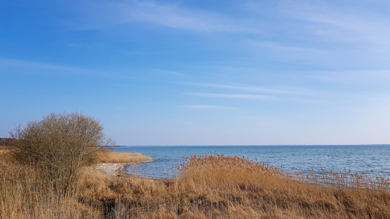 Müritz-Nationalpark: zur Adlerbeobachtung bei Federow