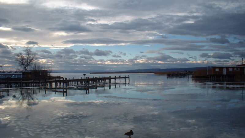 Neusiedler See: weite Wege im Nationalpark Seewinkel