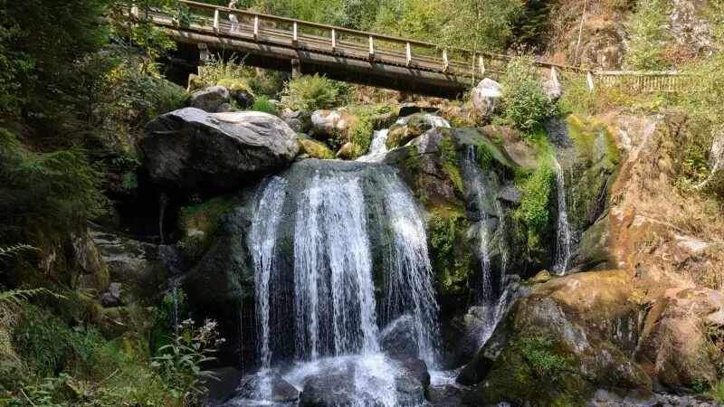 Triberger Wasserfälle: Deutschlands höchste Fälle mit Hund - triberger wasserfaelle schwarzwald
