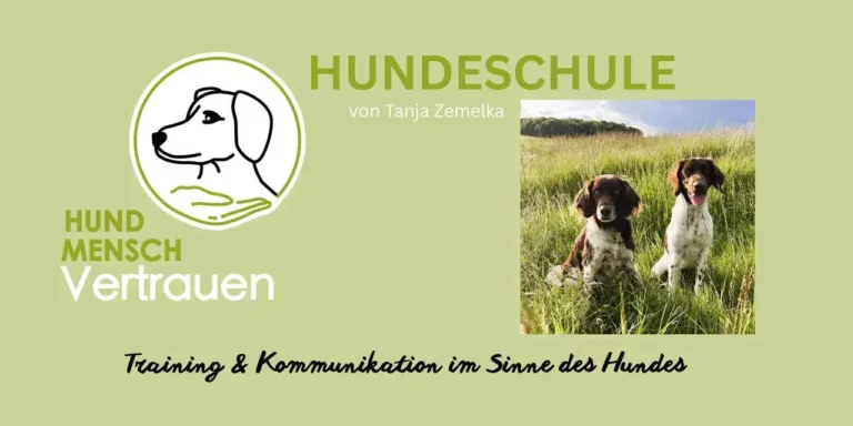 Hundeschule Zemelka Tanja - zemelka