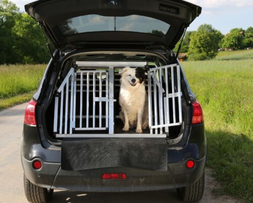 Reisen mit Hund, Hundebox im Kofferraum vom Auto
