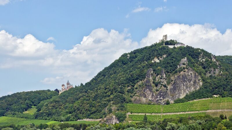 Siebengebirge: mit dem Hund auf den Drachenfels