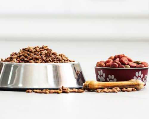 Trockenfutter für Hunde