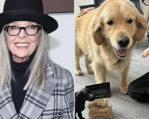 Diane Keaton mit ihrem Golden Retriever Reggie