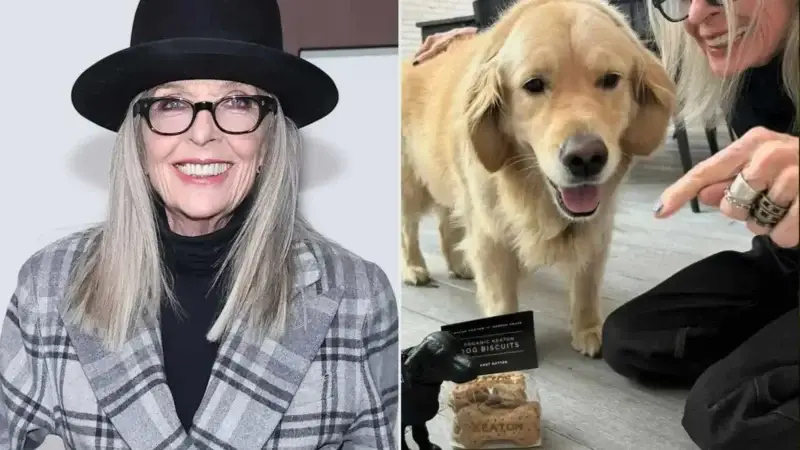 Abschied von Diane Keaton: Hollywood-Ikone mit Herz für Tiere