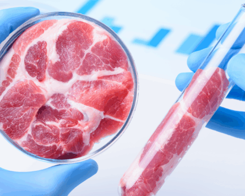 Laborfleisch in Petrischale und Reagenzglas